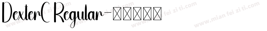 DexterC Regular字体转换